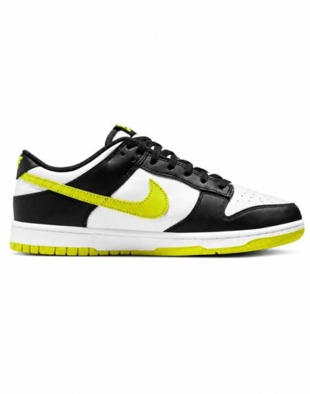 Dunk shoe NK-10