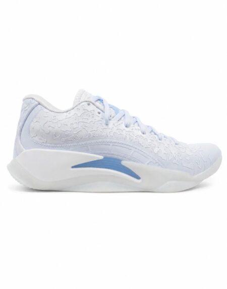 Jordan shoe J-10