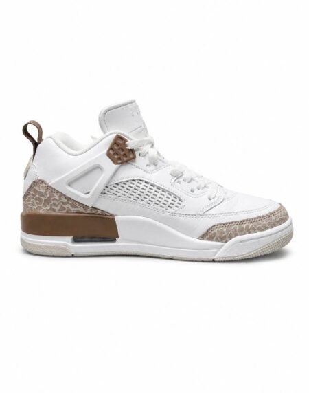 Jordan shoe J-17