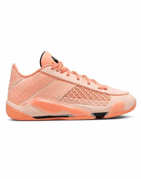 Jordan shoe J-4