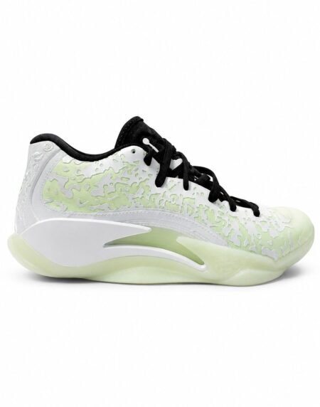 Jordan shoe J-13