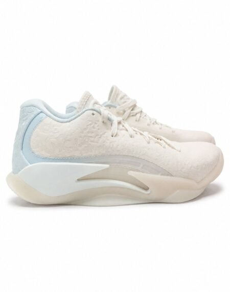 Jordan shoe J-11