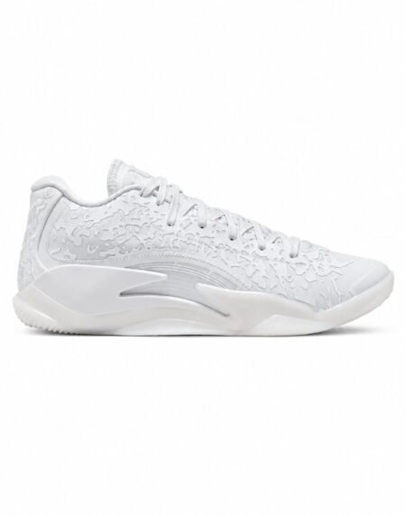 Jordan shoe J-2