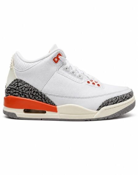 Jordan shoe J-9