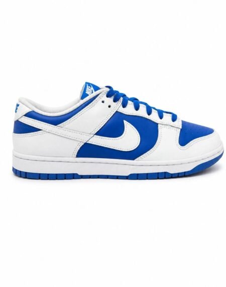Dunk shoe NK-17