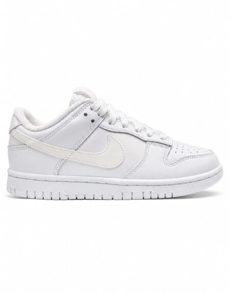 Dunk shoe NK-29