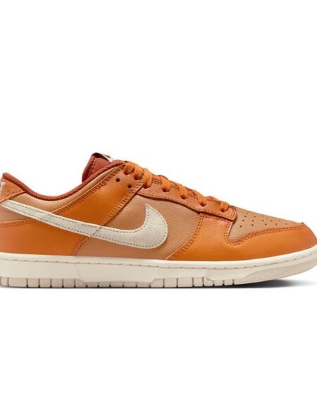 Dunk shoe NK-22